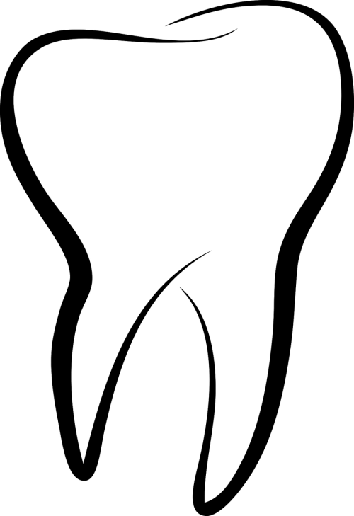 Logo Dr. Kischkat